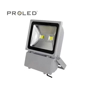 REFLECTOR LED 100W (2X50W) 6500K